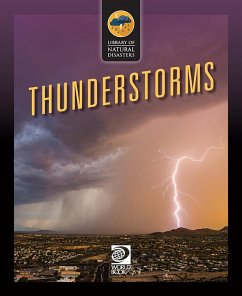 Thunderstorms (eBook, PDF) - Book, World