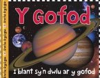 Cyfres Dwlu Dysgu: Y Gofod (eBook, PDF)