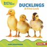 Ducklings (eBook, ePUB) - Bild 1