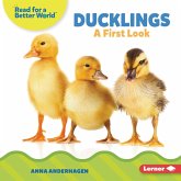 Ducklings (eBook, ePUB)