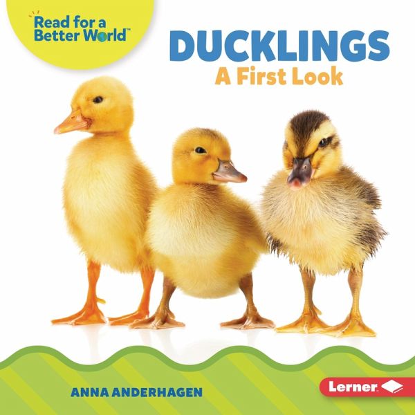 Ducklings (eBook, ePUB)