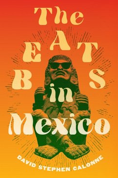 Cover Beats in Mexico (eBook, PDF)