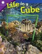 Life in a Cube (eBook, PDF) - Bild 1