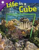 Life in a Cube (eBook, PDF)