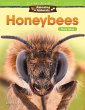 Amazing Animals: Honeybees (eBook, PDF) - Bild 1