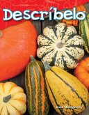 Describelo (eBook, PDF) Describelo (eBook, PDF)