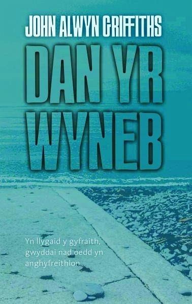 Dan yr Wyneb (eBook, ePUB)