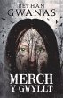 Merch y Gwyllt (eBook, ePUB) - Bild 1
