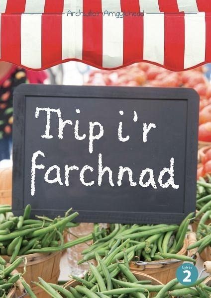 Cyfres Archwilio'r Amgylchedd: Trip i'r Farchnad (eBook, ePUB)
