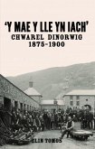 Y Mae y Lle yn Iach' - Chwarel Dinorwig 1875-1900 (eBook, ePUB)