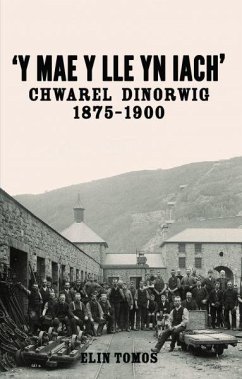 Y Mae y Lle yn Iach' - Chwarel Dinorwig 1875-1900 (eBook, ePUB) - Elin Tomos, Tomos