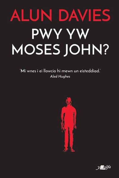 Pwy yw Moses John? (eBook, ePUB) Pwy yw Moses John? (eBook, ePUB)