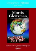 Help Llaw Gydag Astudio: Bachgen yn y Môr - Cymraeg TGAU (eBook, ePUB)