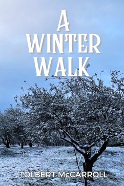 Cover Winter Walk (eBook, ePUB)