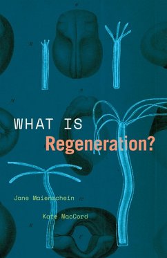 What Is Regeneration? (eBook, ePUB) - Jane Maienschein, Maienschein; Kate MacCord, MacCord
