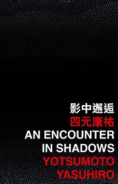 Encounter in Shadows (eBook, PDF) - Yotsumoto, Yasuhiro