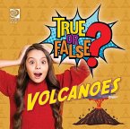 Volcanoes (eBook, PDF)