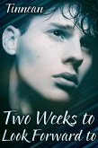 Two Weeks to Look Forward to (eBook, ePUB) Two Weeks to Look Forward to (eBook, ePUB)