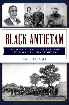 Black Antietam (eBook, ePUB) - Amt, Emilie