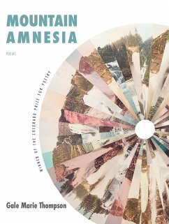Cover Mountain Amnesia (eBook, PDF)