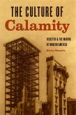 Culture of Calamity (eBook, ePUB)