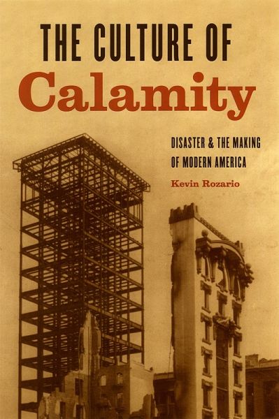Culture of Calamity (eBook, ePUB)