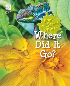 Where Did It Go? (eBook, PDF) - Guibert, Grace