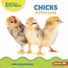 Chicks (eBook, PDF) - Bild 1