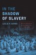 In the Shadow of Slavery (eBook, ePUB) - Bild 1