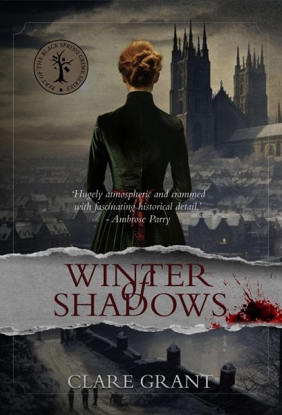 Winter of Shadows (eBook, ePUB)