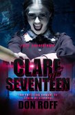 Clare at Seventeen (eBook, ePUB)