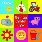 Cyfres Cyw: Geiriau Cyntaf Cyw (eBook, PDF) Cyfres Cyw: Geiriau Cyntaf Cyw (eBook, PDF)