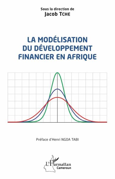 La modélisation du développement financier en Afrique (eBook, PDF)