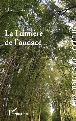 Cover La Lumière de l'audace (eBook, PDF)