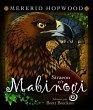 Straeon o'r Mabinogi (eBook, PDF) - Bild 1