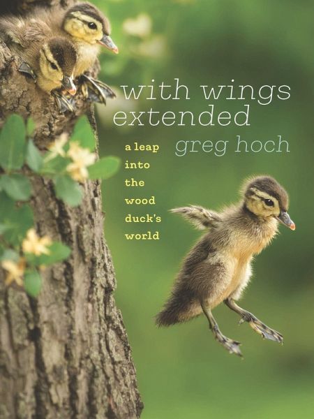 With Wings Extended (eBook, ePUB)