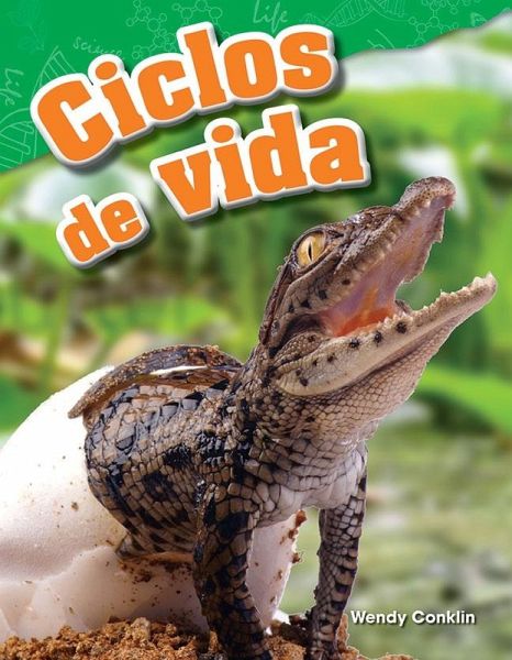 Ciclos de vida (eBook, PDF)