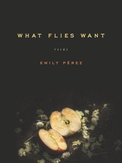 Cover What Flies Want (eBook, ePUB)