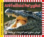 Cyfres Dwlu Dysgu: Anifeiliaid Peryglus (eBook, ePUB)