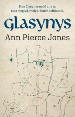 Glasynys (eBook, ePUB) - Ann Pierce Jones, Jones