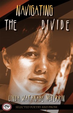 Cover Navigating the Divide (eBook, PDF)