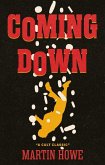 Coming Down (eBook, ePUB)