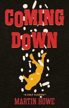 Coming Down (eBook, ePUB) - Howe, Martin