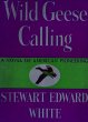 Wild Geese Calling (eBook, ePUB) - Bild 1
