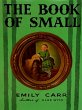 Book of Small (eBook, ePUB) - Bild 1