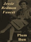 Plum Bun: A Novel Without a Moral (eBook, ePUB) Plum Bun: A Novel Without a Moral (eBook, ePUB)