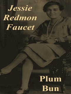 Cover Plum Bun: A Novel Without a Moral (eBook, ePUB)