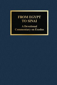 From Egypt to Sinai (eBook, ePUB) - Meitner, Paul S