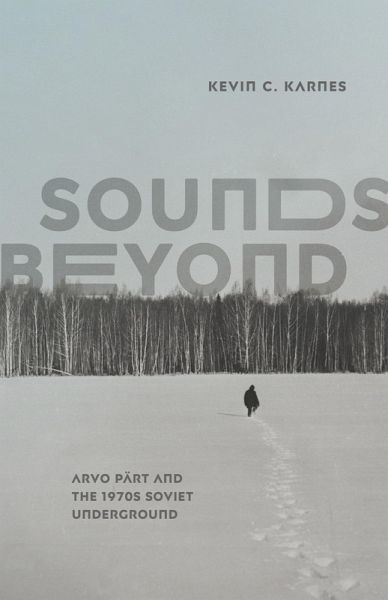 Sounds Beyond (eBook, ePUB)