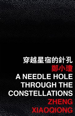 Cover Needle Hole through the Constellations (eBook, PDF)